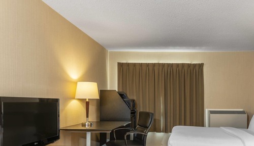 Room, 1 King Bed