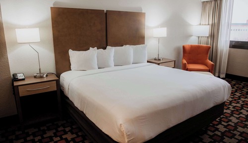 Room, 1 King Bed, Non Smoking