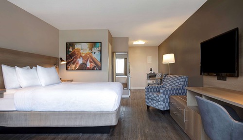 Limited View, 1 King Bed Non-Smoking Efficiency Room