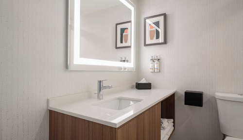 Standard Room, 1 King Bed, Accessible Bathtub (Accessible Tub)