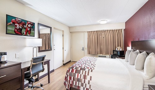Standard Room, 1 King Bed, Accessible, Non Smoking (Roll-In Shower)