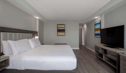 Suite, 1 King Bed