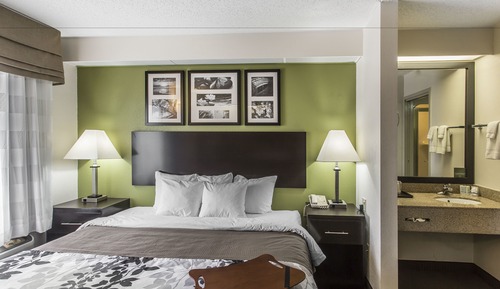 Room, 1 Queen Bed, Accessible, Non Smoking (Roll-in Shower)