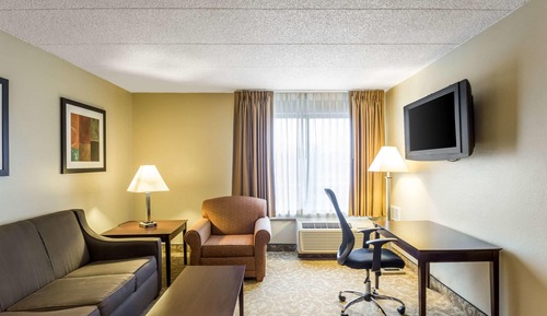 Suite, 1 King Bed with Sofa bed, Non Smoking