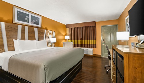 Standard Room, 1 King Bed, Non Smoking