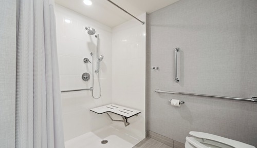 Standard Room, 1 King Bed, Roll-in Shower (Communications Accessible)