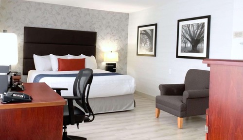 Suite, 1 King Bed, Non Smoking, Kitchen (Dining Table)