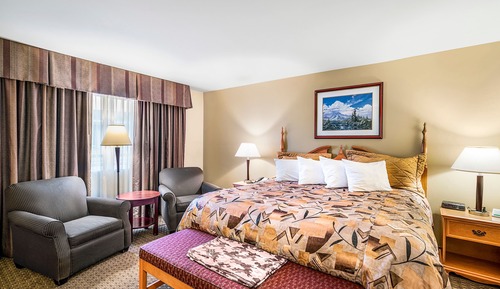 Superior Room, 1 King Bed (Pet Friendly)