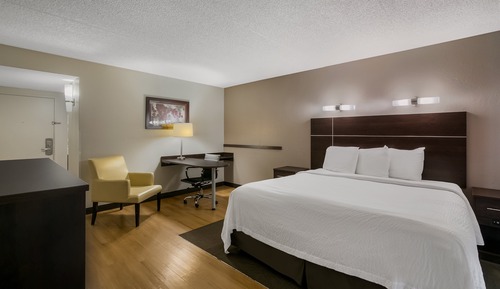 Premium Room, 1 King Bed, Poolside (Upgraded Bedding & Snack, Smoke Free)