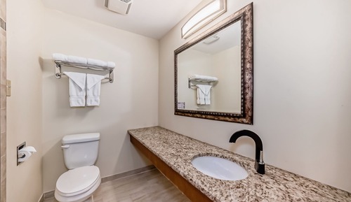 Executive Room, 1 King Bed, Non Smoking, Kitchen