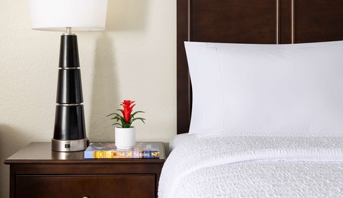 Family Suite, 1 King Bed, Non Smoking