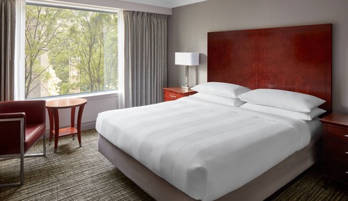 Room, 1 King Bed