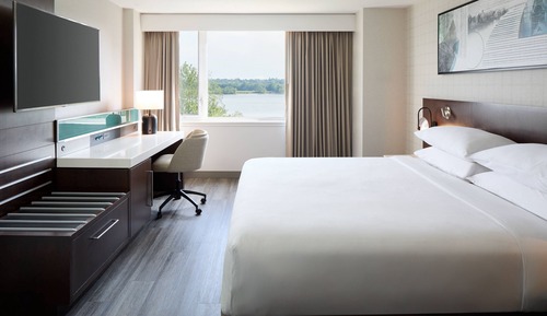 Suite, 1 King Bed