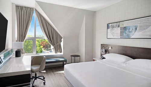 Room, 1 King Bed