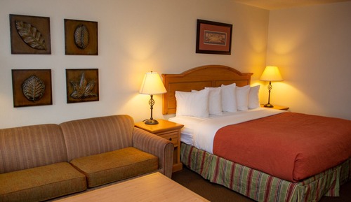 Room, 1 King Bed
