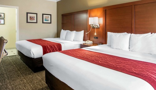 Standard 2 Kings Non Smoking, Courtyard View