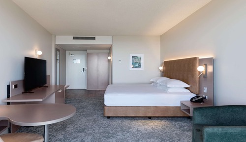Room, 1 King Bed, View