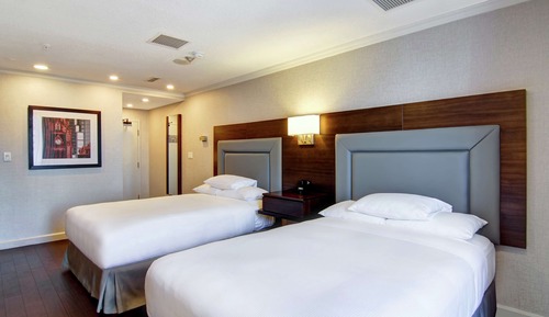 Junior Room, Multiple Beds, Kitchen