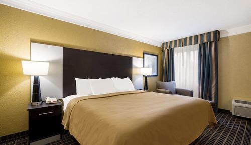 Standard Room, 1 King Bed with Sofa bed, Non Smoking
