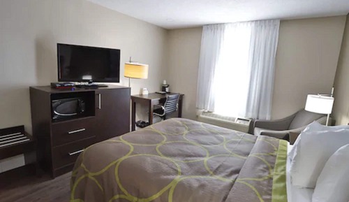 Room, 1 King Bed, Non Smoking (Mobility Accessible Room)