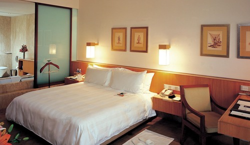 Room, 1 King Bed, Garden View