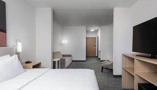 Room, 1 King Bed with Sofa bed
