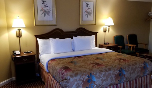 Standard Room, 1 King Bed, Non-Smoking