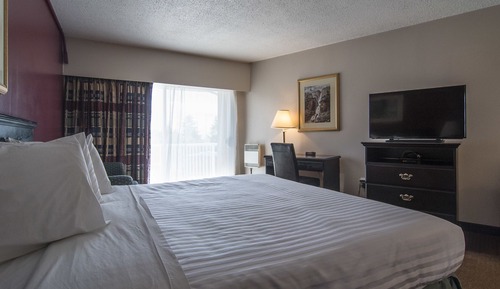 Superior Room, 1 Queen Bed, Ground Floor