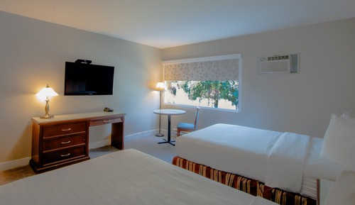 Standard Room, 2 Double Beds