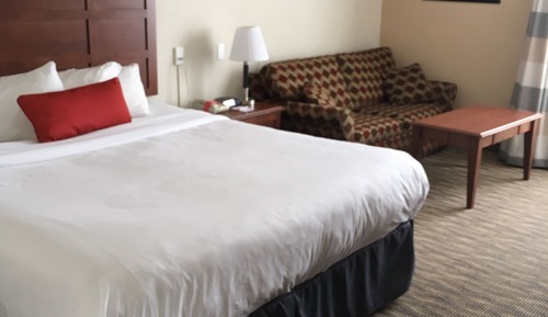 Room, 1 King Bed, Non Smoking (Pet-friendly)