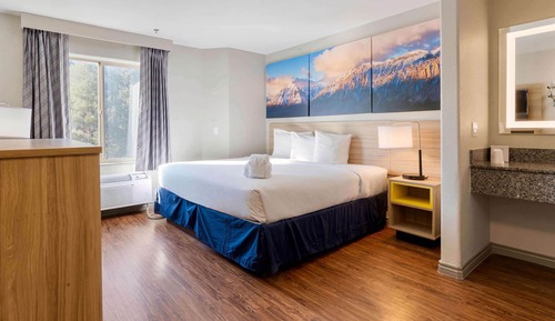Room, 1 King Bed, Mobility Accessible, Non Smoking (Mobility, Roll-in Shower)