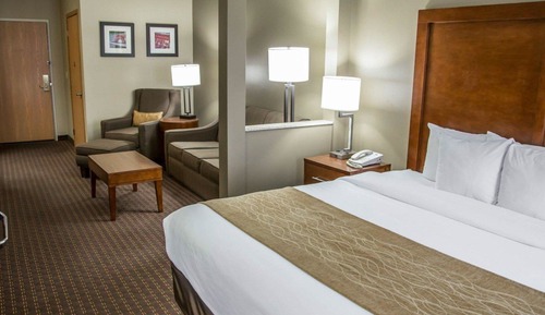 Suite, 1 King Bed with Sofa bed, Non Smoking