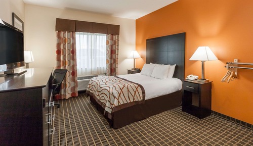 Standard Room, 1 Queen Bed, Accessible