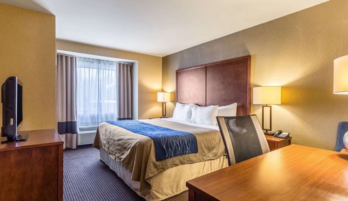 Standard Room, 1 King Bed, Non Smoking