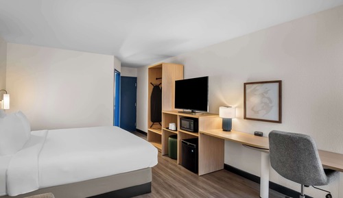 Room, 1 King Bed with Sofa bed, Accessible (Mobility & Roll-in Shower)