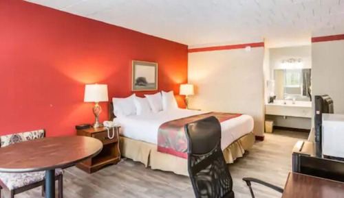 Standard Room, 1 King Bed, Multiple View (King Non Smoking Room)