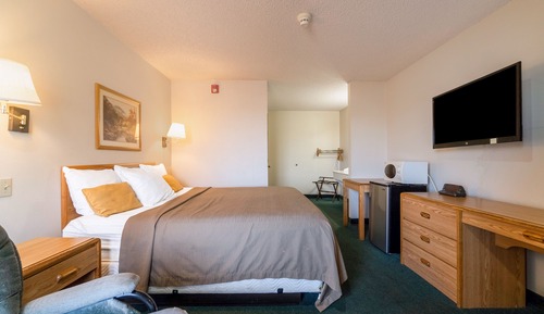 Room, 1 King Bed