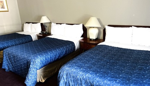 Family Room, Multiple Beds