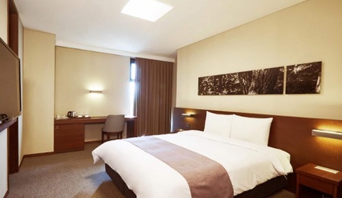 Room (Standard Double (Super Deal Mountain )