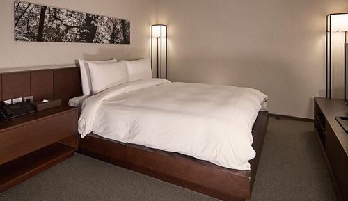 Room (Corner Double (Mountain View))