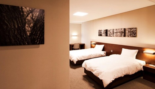 Room (Standard Twin (Super Deal Mountain Vi)