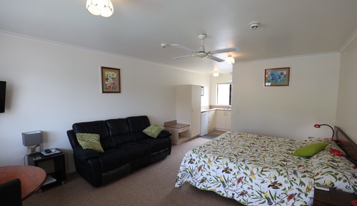 Premium Studio, Non Smoking, Kitchenette