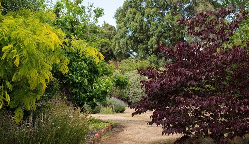 Garden Room (Cora's Unit)