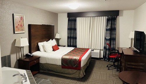 Deluxe Suite, 1 King Bed, Non Smoking