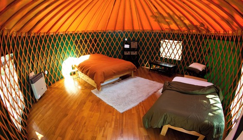 Comfort Tent