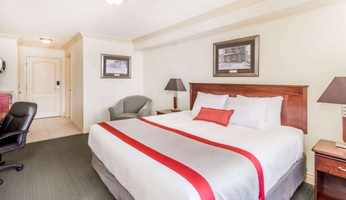 Room, 1 King Bed, Non Smoking