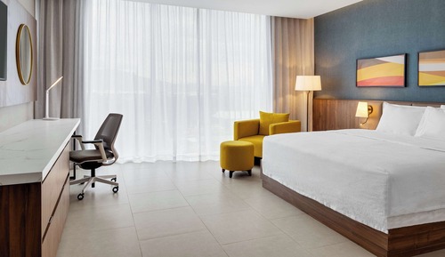 Room, 1 King Bed, Accessible (Roll-In Shower)