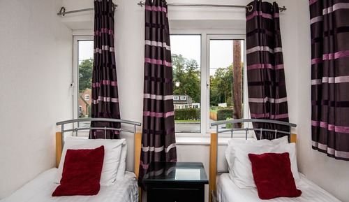 Standard Twin Room, 2 Twin Beds (Shared)