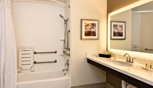 Room, 1 King Bed, Accessible (Mobility Tub)