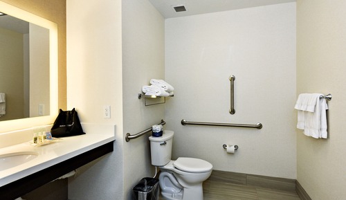 Standard Room, Accessible (Mobility Tub)